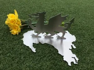 dragon1